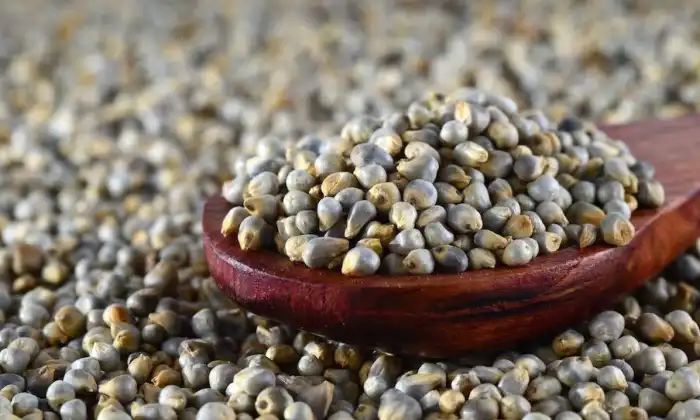  Millets